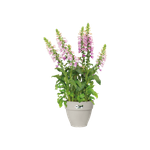 vibia campana rund 30cm seidenweiß